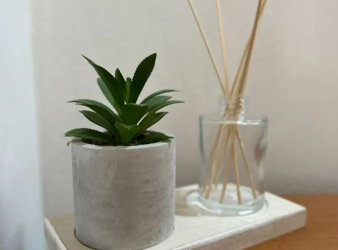 Alex Appartamento Sarandë